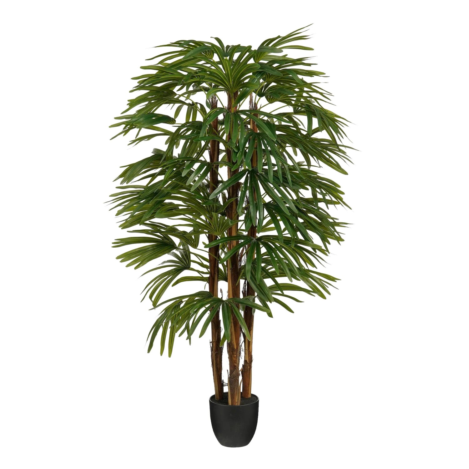 Mica Decorations Knstliche Raphis Palme 150 cm im Topf  60 cm Grn kaufen  bei OBI