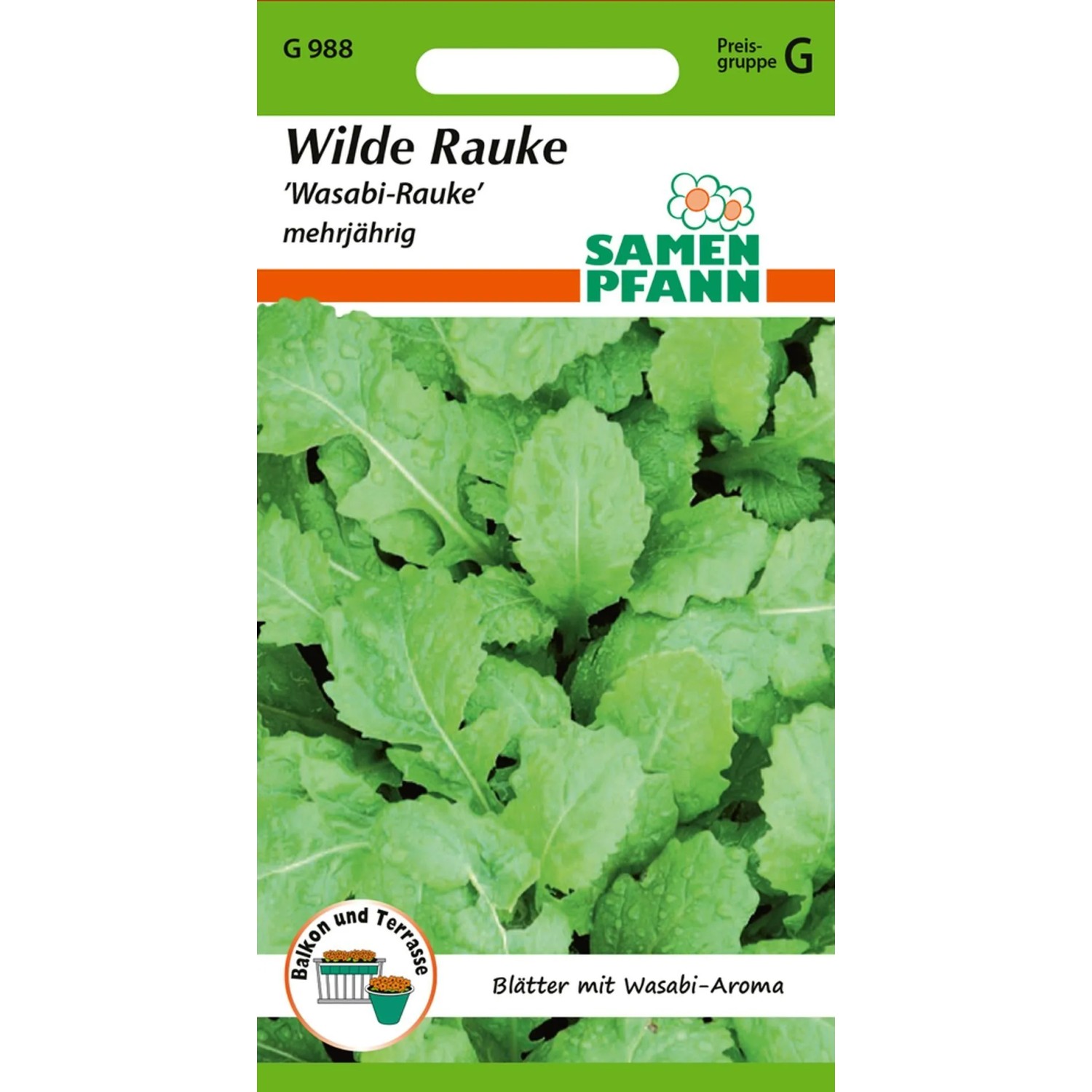 SAMEN PFANN Wilde Rauke Wasabi