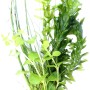 Dennerle Plants Kaltwasser Mix Aquariumpflanze im Topf, verschiedene Grüntöne.