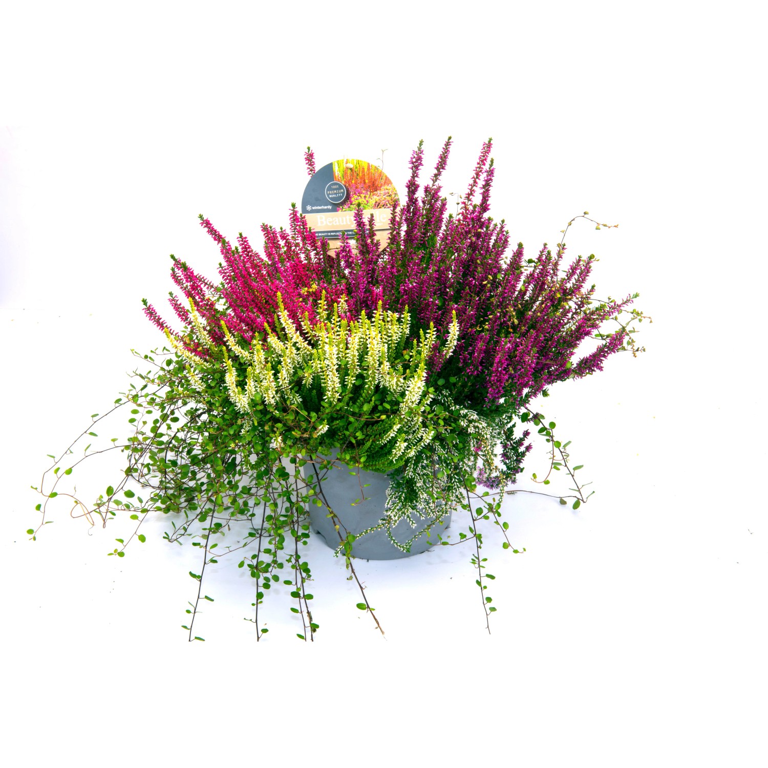 Calluna Top - Grijs