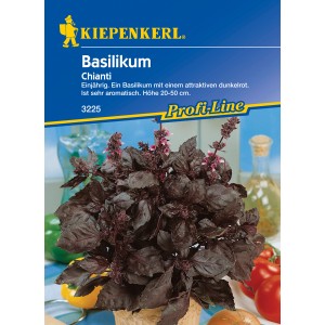 Dunkelroter Basilikum Chianti im Topf, aromatische Kräutersamen für Beet und Küche.