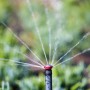 Rain Bird Versenksprüher R-VAN 24 IG in Aktion: Bewässerung mit einstellbarer Sprühweite und Sektoren.