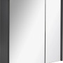 Fackelmann Spiegelschrank Denver, anthrazit, 60 cm breit, mit zwei Spiegeltüren und Softclose.