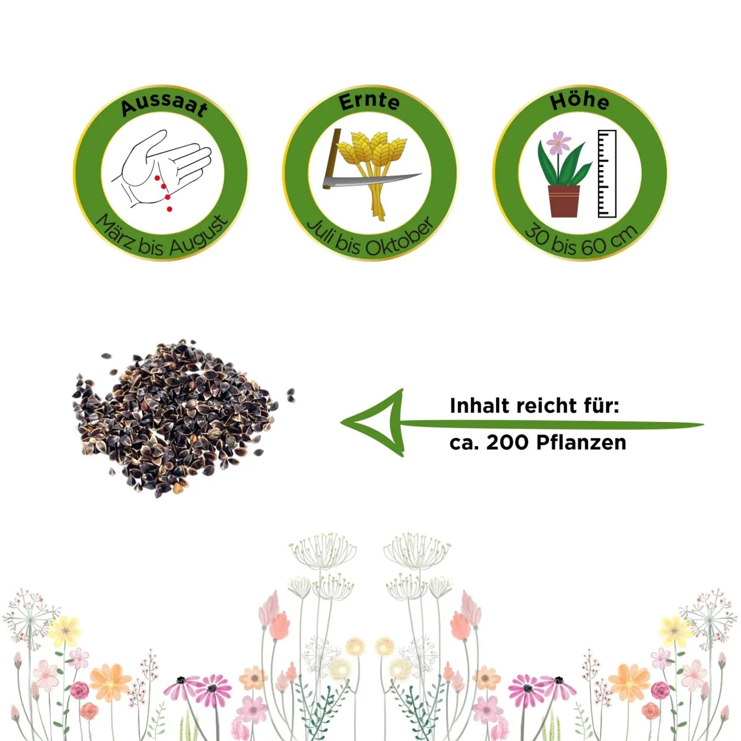 Samen von Deine Gartenwelt Sauerampfer De Belleville mit Aussaat-, Ernte- und Wachstumshinweisen.