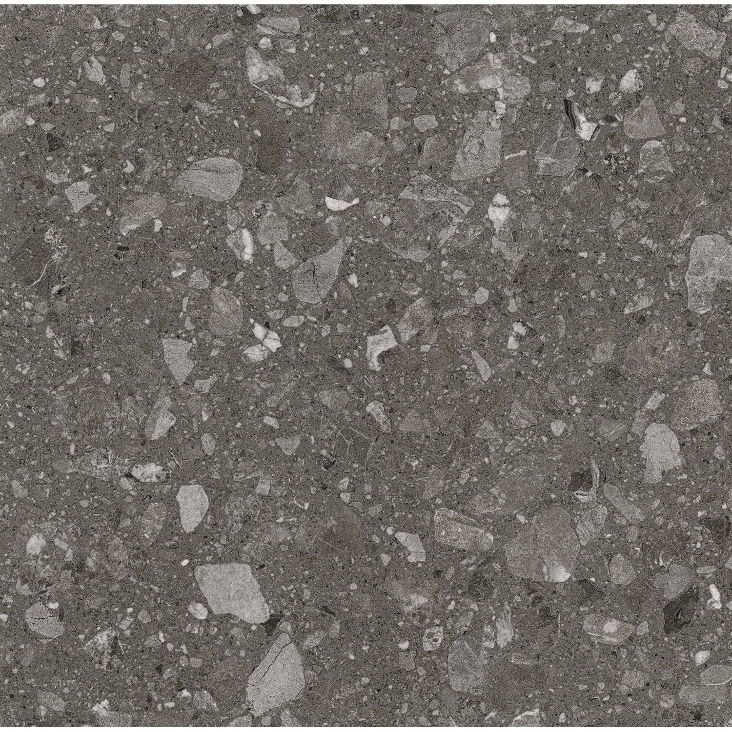 Feinsteinzeug Bodenfliese in Anthrazit, 60x60 cm, matte Steinoptik für Innen- und Außenbereich.