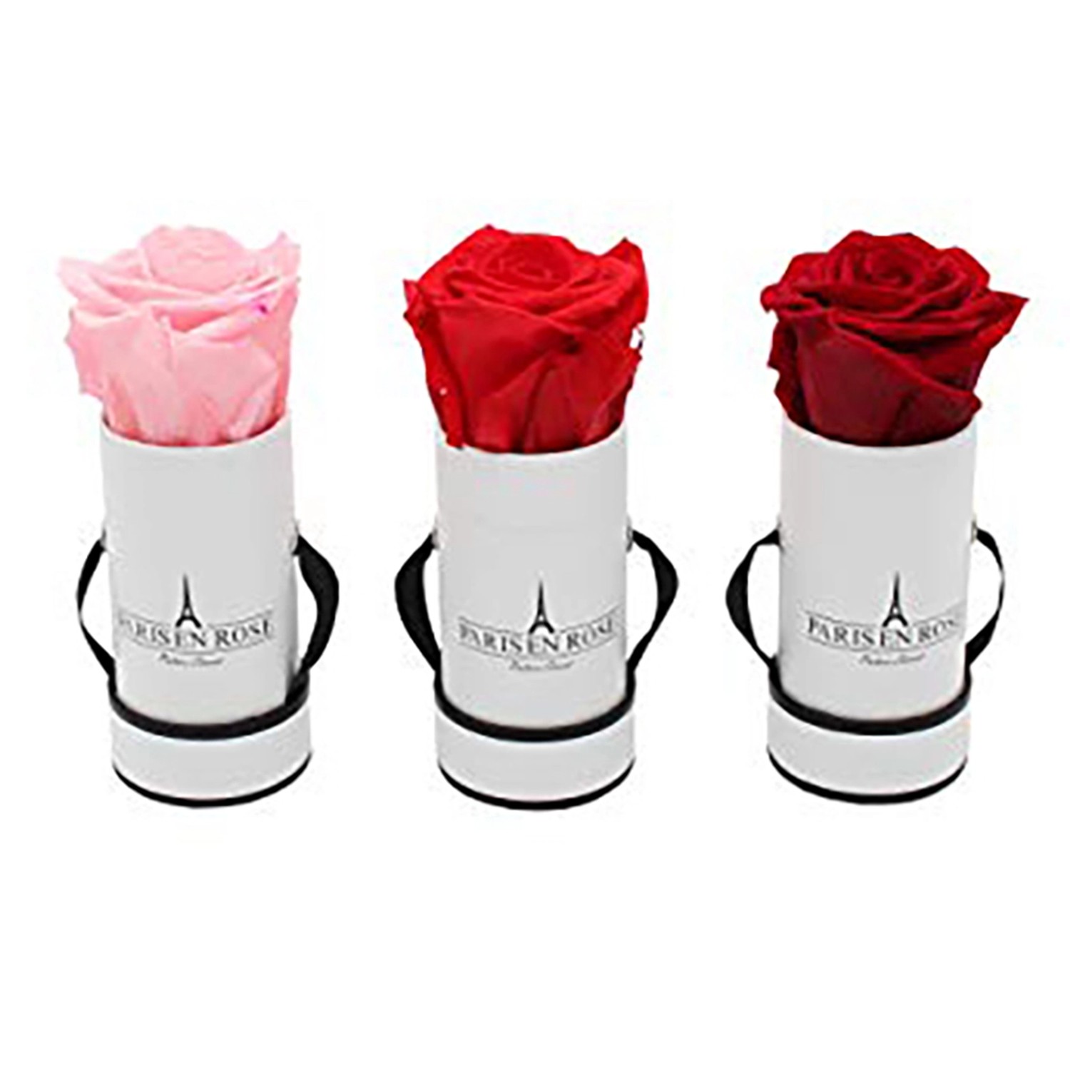 Rosenbox mit rosa, roter und dunkelroter Rose in weiß-schwarzer Box (Ø 5cm).