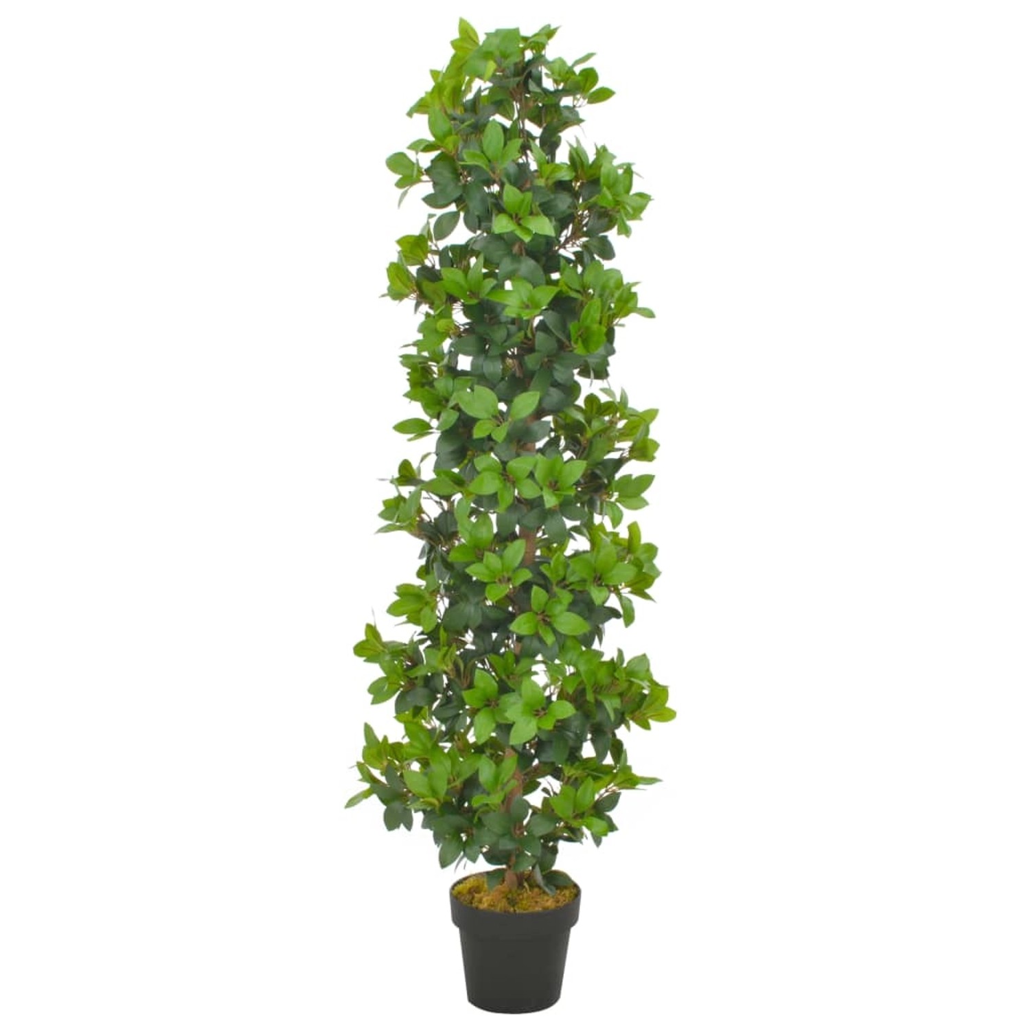 furnicato Künstliche Pflanze Lorbeerbaum mit Topf Grün 150 cm günstig online kaufen