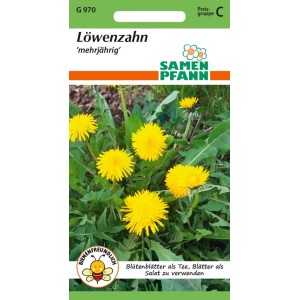 SAMEN PFANN Löwenzahn