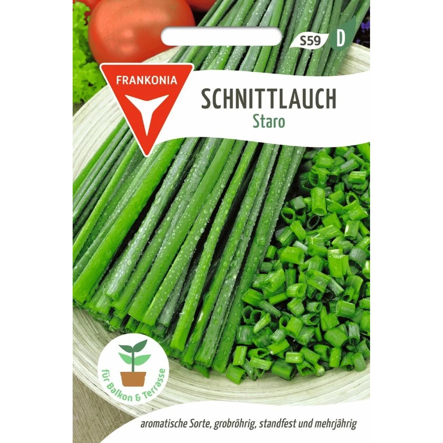 FRANKONIA Schnittlauch Staro