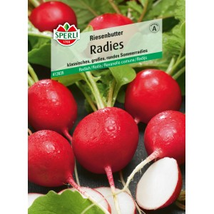 Sperli Radieschen Radies Riesenbutter Samen, leuchtend rote, runde Sommerradieschen.