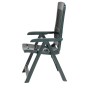 Grüner Progarden Klappsessel Tampa aus Kunststoff, ideal für Garten & Balkon.