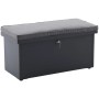 Anthrazitfarbene Stahl-Aufbewahrungsbox mit grauem Sitzkissen und Schloss. Ideal als Gartenbank oder Kissenbox.