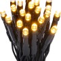 LED-Lichterkette mit 40 warmweißen LEDs und grünem Kabel für Innen- und Außenbereich.