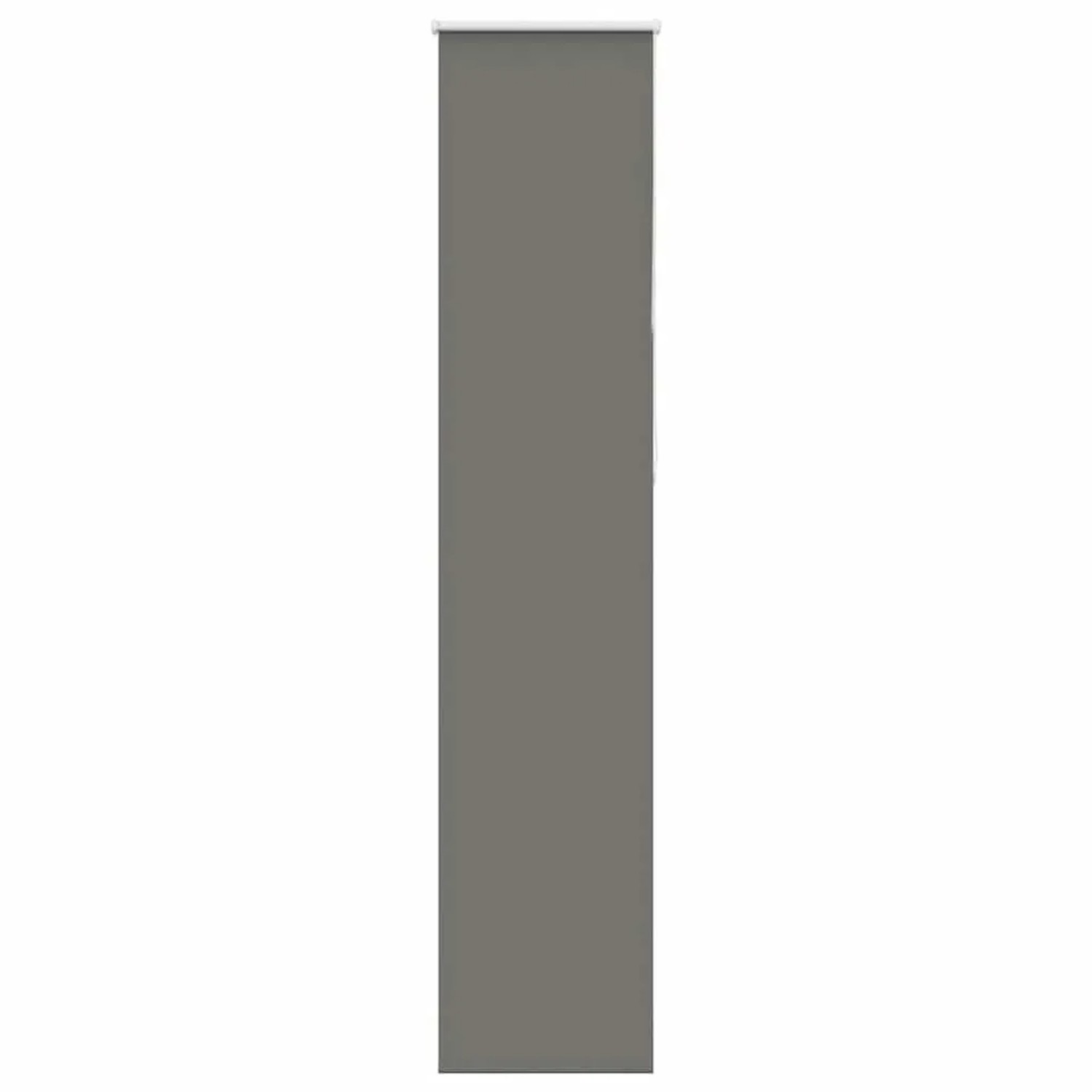vidaXL Verdunkelungsrollo Grau 40x210 cm Stoffbreite 35,7 cm Polyester 4011168