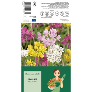 Zierlauch-Mischung: Blumenzwiebeln mit bunten Allium-Blüten in Gelb, Lila, Rosa und Weiß.