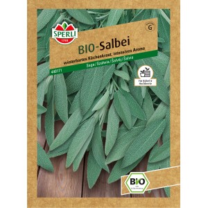 Sperli Bio Salbei Samenpackung mit graugrünen Blättern, ideal für Kübel und Hochbeete.
