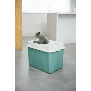 Rotho Katzentoilette Eco Berty, oben offen, Mistletoe Green, mit Katze.