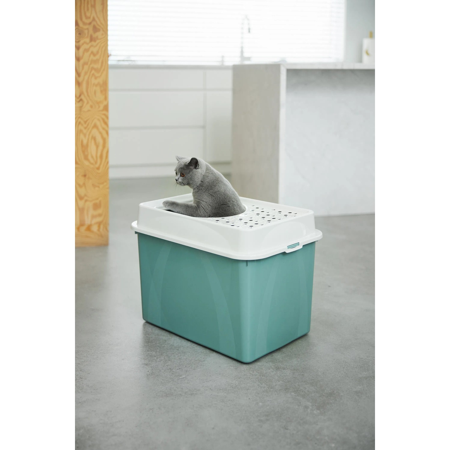 Rotho Katzentoilette Eco Berty, oben offen, Mistletoe Green, mit Katze.