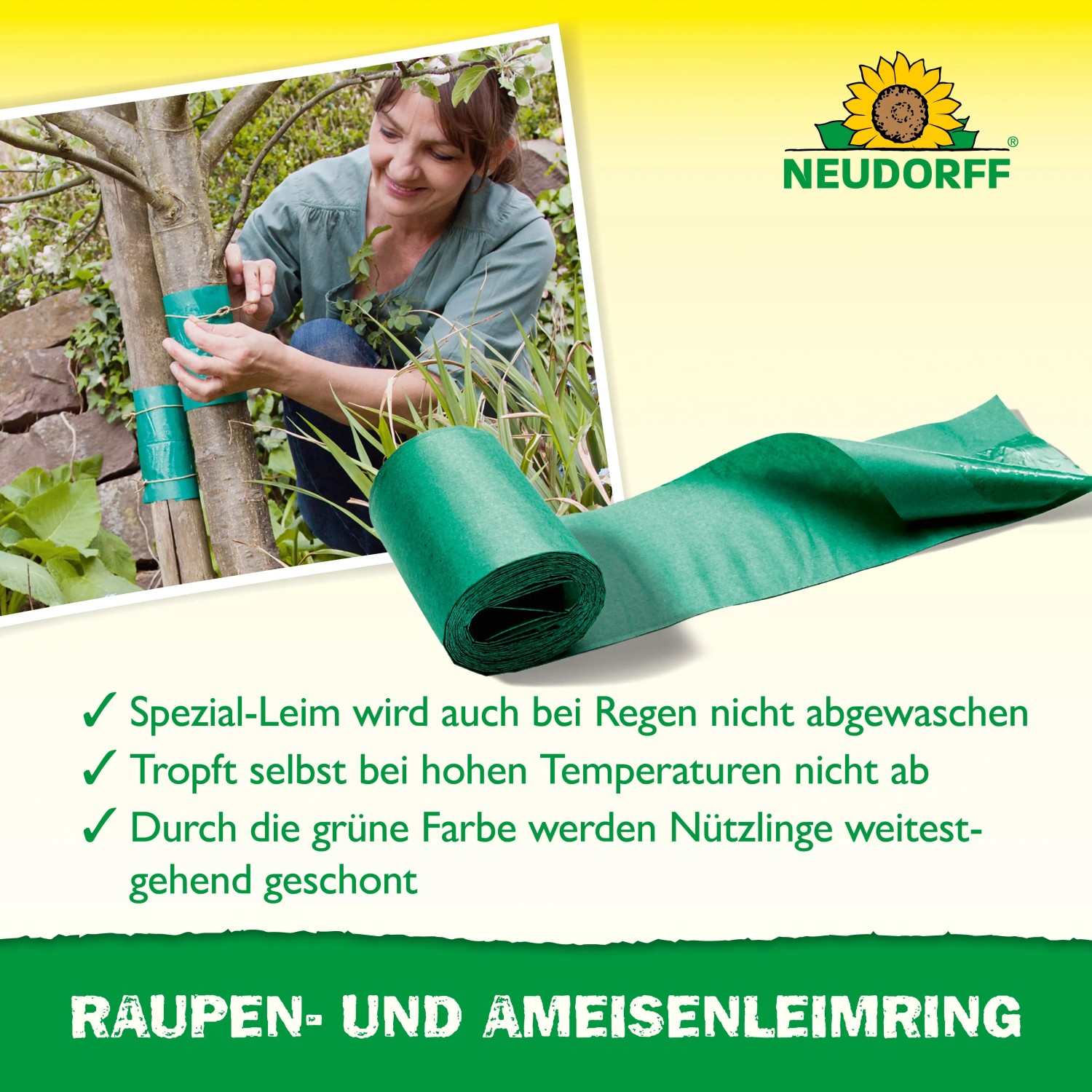 Neudorff Raupen- und Ameisenleimring, 3 m Rolle. Frau bringt den Leimring am Baum an.