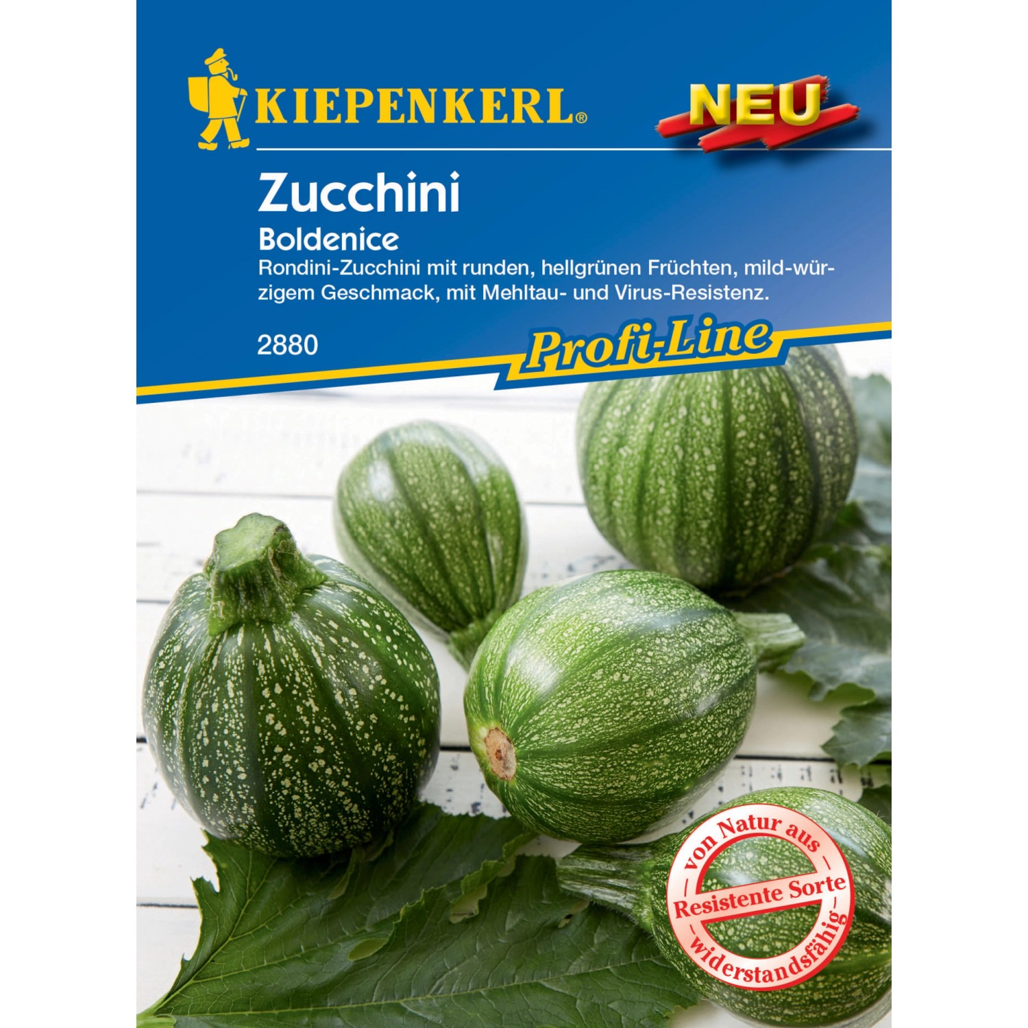 Kiepenkerl Profi-Line Zucchini Boldenice F1-Hybride günstig online kaufen