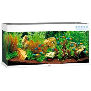 Weißes Juwel Aquarium-Set Rio LED 180 l, Komplettset mit Fischen, Pflanzen und Dekoration.