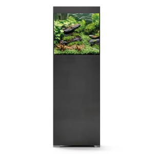 Schwarzes Oase Aquarium-Set StyleLine 85 mit Unterschrank und Bepflanzung.