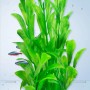 Tetra Kunstpflanze DecoArt Plant S Hygrophila, grüne Aquariumpflanze im Detail.