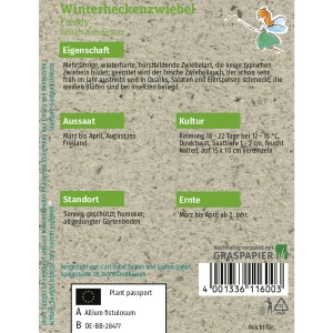 Saatguttütchen Grüne Fee Winterheckenzwiebel Freddy, Allium fistulosum.