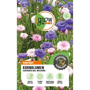 Mehrfarbige Kornblumen Centaurea Ball Mischung von GROW by OBI, Höhe ca. 60cm.
