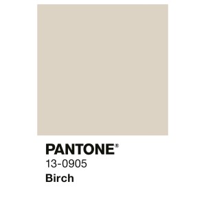 Alpina Innenfarbe Pantone Birch 13-0905. Farbprobe in hellem Beige-Creme für matte Wandfarben.