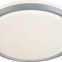 LED Deckenleuchte Angera, silber matt, Ø 44,5 cm. Moderne Lampe mit Lichtsteuerung.
