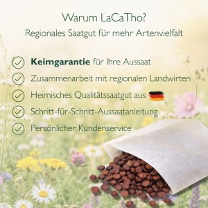 LaCaTho Sumpf-Schwertlilie Samen: Vorteile wie Keimgarantie, Qualitätssaatgut. Offene Samentüte auf Blumenwiese.