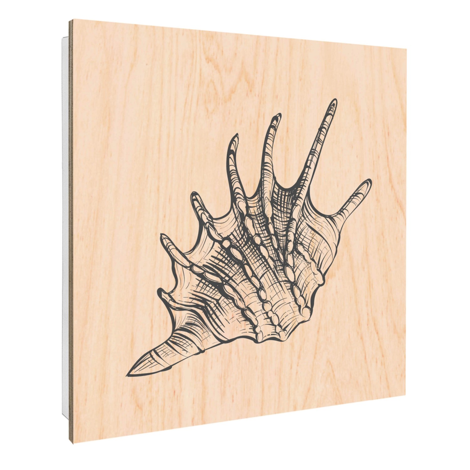 Banjado Schlüsselkasten mit Holzfront 30x30cm Weiß Scharnier Links 50 Haken günstig online kaufen