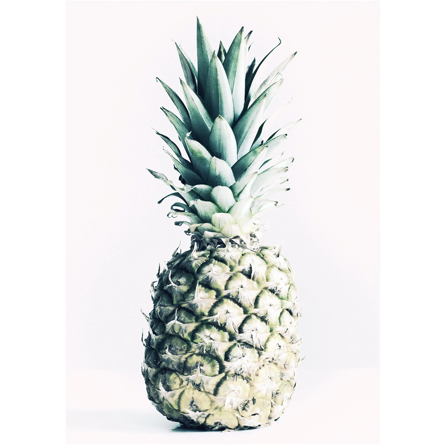 Komar Wandbild Pineapple 30 x 40 cm