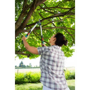 Frau schneidet Baumäste mit Gardena TeleCut Astschere. Gartenschere mit Teleskopstiel im Einsatz.