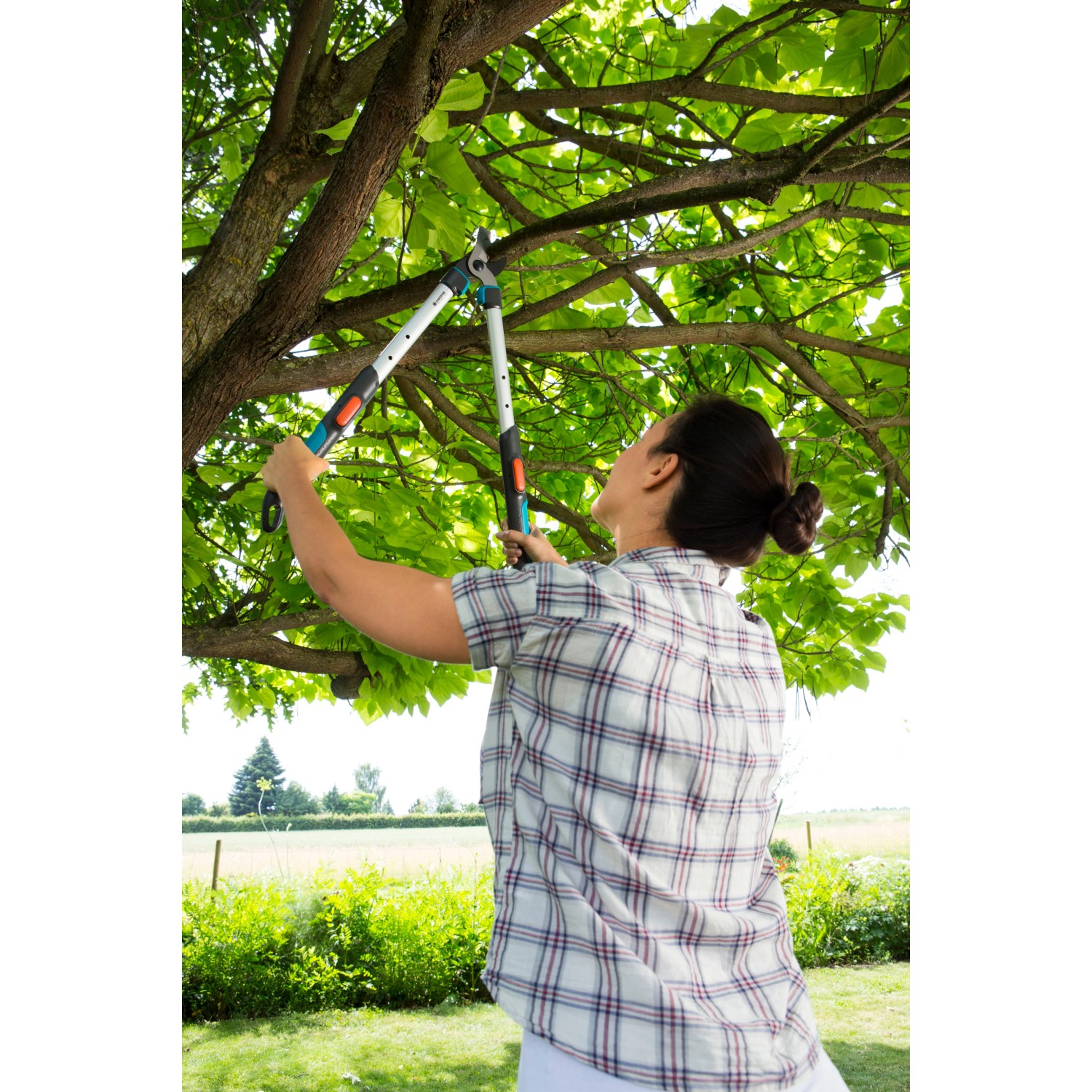 Frau schneidet Baumäste mit Gardena TeleCut Astschere. Gartenschere mit Teleskopstiel im Einsatz.