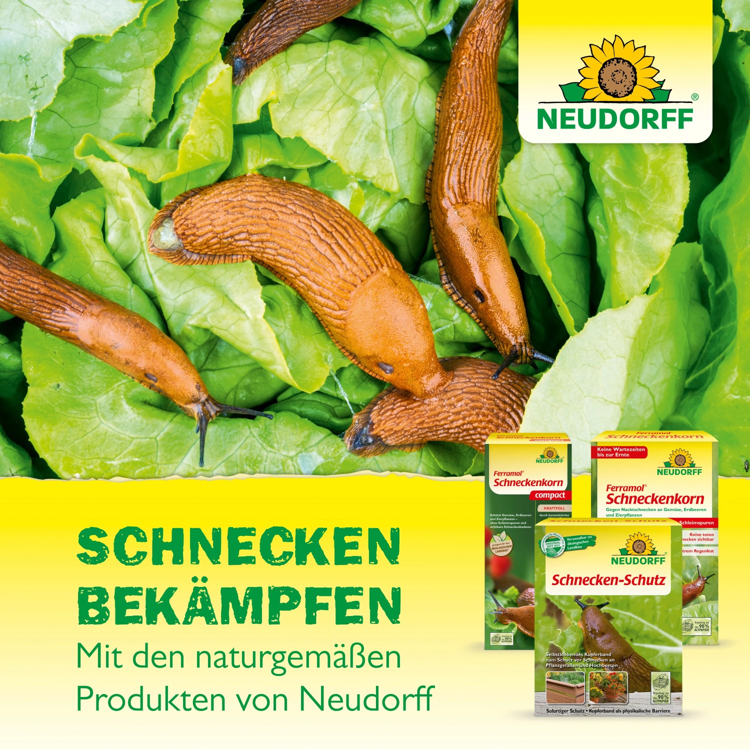 Neudorff Ferramol Schneckenkorn 1kg zwischen Salatblättern und Schneckenkorn-Packungen.