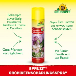 Neudorff Spruzit Orchideenschädlings-Spray, 300ml Flasche zur Blattlausbekämpfung.