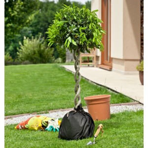 Windhager Trennvlies unter Topfpflanze im Garten, schützt vor Ausschwemmen der Erde.
