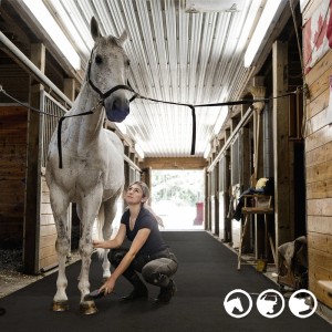 Pferdestall mit wasserbeständiger KARAT Gummimatte Pontiac (122x182 cm) und Frau beim Putzen eines Pferdes.