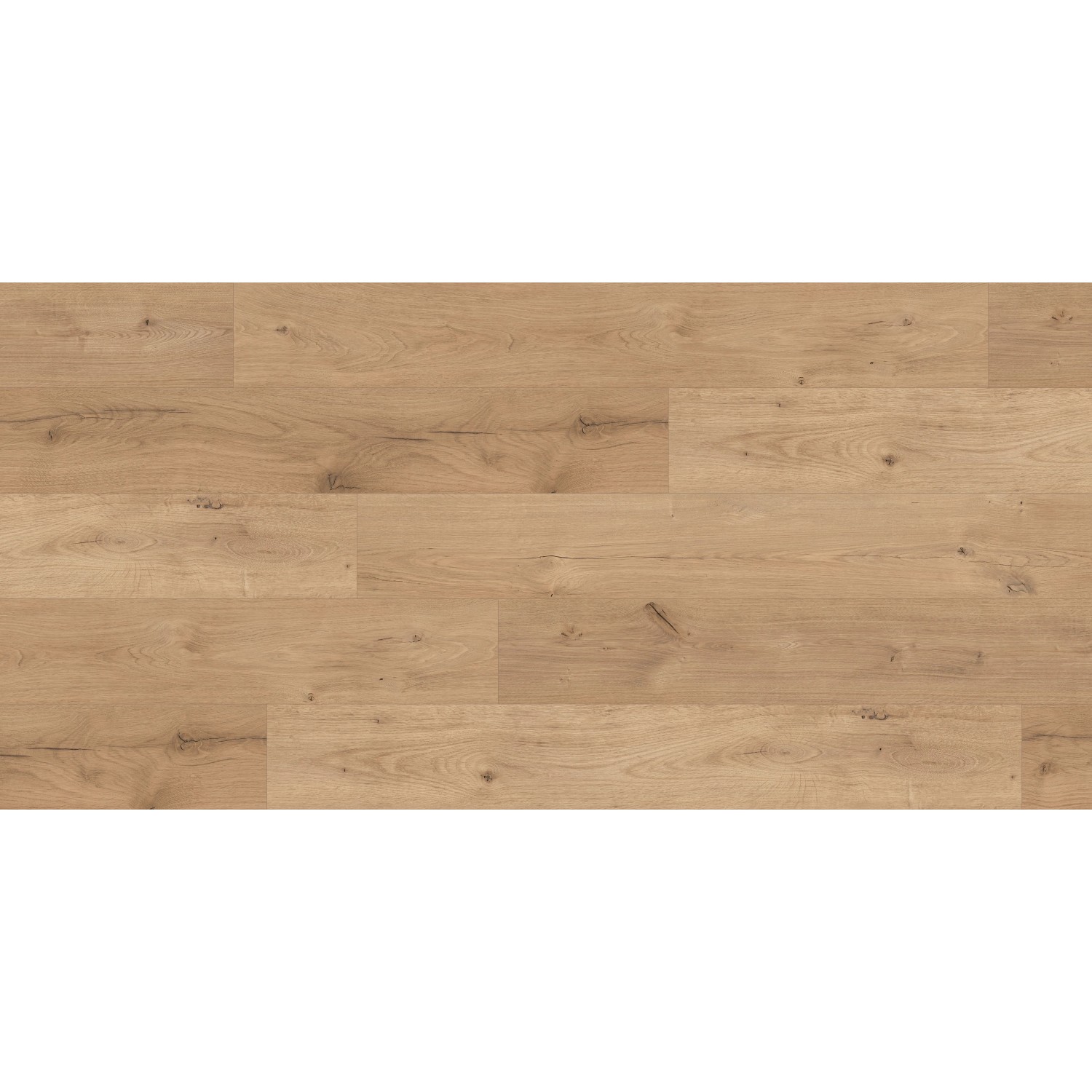Kaindl Excellent Laminat 8 mm Wasserfest Eiche Ferrara Beachlin