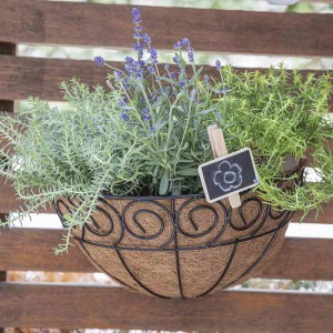 Siena Garden Wandampel Scroll mit Pflanzen und Kokoseinlage vor Holzwand.