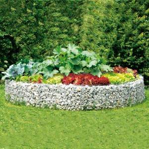 Rundes Bellissa Gabionen-Hochbeet (Ø 240cm) befüllt mit Steinen und bepflanzt mit Gemüse im Garten.
