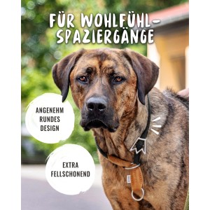 Schwarzes Rudelkönig Zugstopphalsband für Hunde, aus Nylon, verstellbar, Größe 4.