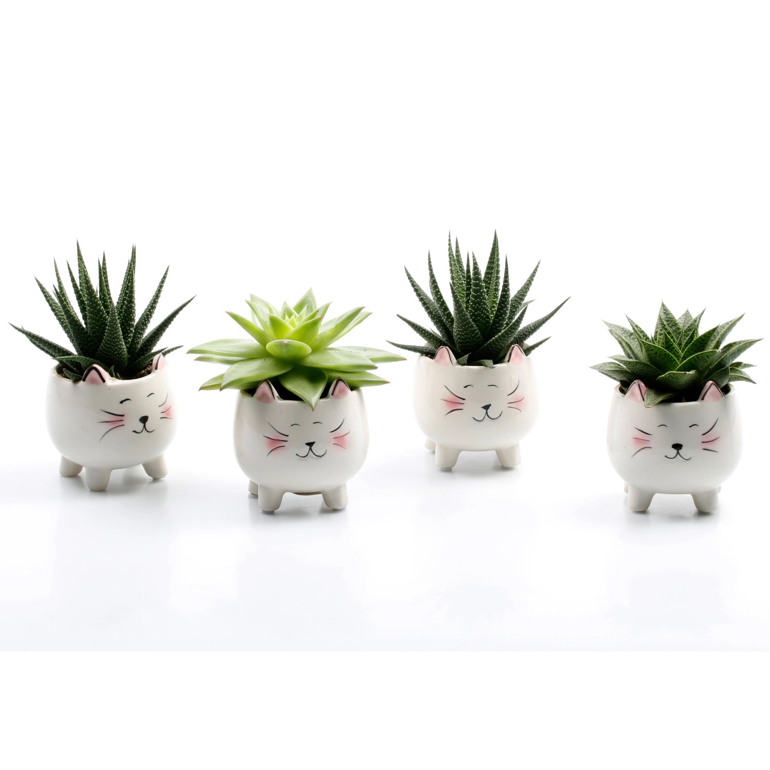 4er Set Keramik-Sukkulententöpfe Mit Tiermotiv – Mit Drainageloch, 13x7.1x8.9 Cm, Für Innen & Außen