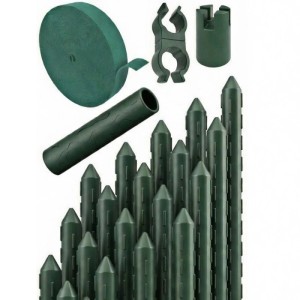 TTL GARDEN Rankstäbe 240 cm x 11 mm 20er Set Grün Stahlkern Kunststoffbeschichtet Rankhilfe für Garten Hochbeet Gewächshaus