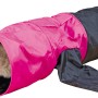 Katze im pink-schwarzen Trixie Spieltunnel (ø 30 cm x 115 cm) aus Polyester mit 4 Eingängen.