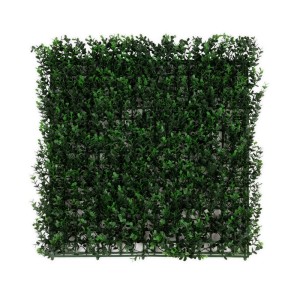 KARAT Pflanzenwand Buxus, grüne Kunstpflanze zur Wanddekoration, 50x50 cm.