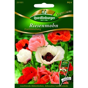 Quedlinburger Türkischer Mohn 'Prachtmischung' Samenpackung mit bunten Blüten.