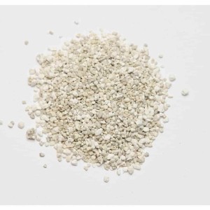 Beckmann&Brehm Rasendünger Starter 25kg für Neuanlage und Regeneration
